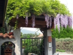 thumbs il giuggiolo bed breakfast Esterni