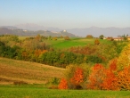 thumbs valle del curone Paisajes