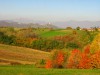 Valle del Curone 100x75 Itineraries